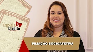 Explica Direito Filiação Socioafetiva  2019 [upl. by Aleras]