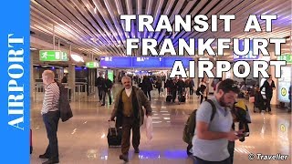 TRANSIT WALK AT FRANKFURT Airport FRA Terminal 1  Connection Flight Transfer Arriving amp Departing [upl. by Repotsirhc60]